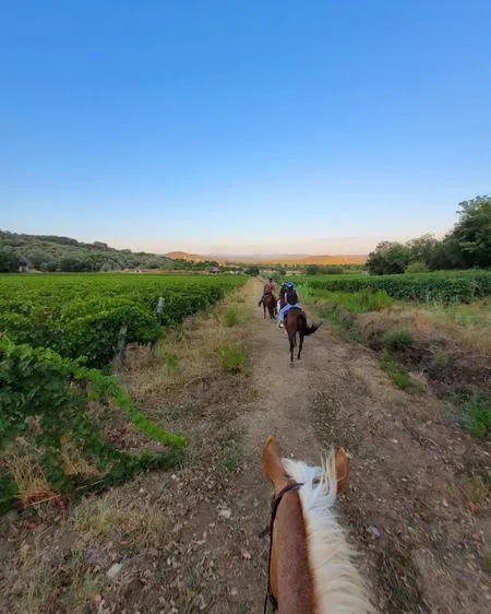 Passeggiata a cavallo nella Maremma a Suvereto