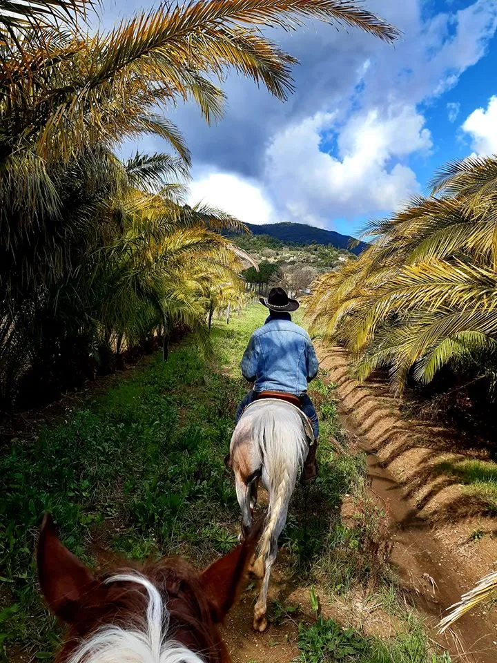 Passeggiata a cavallo nella Maremma a Suvereto