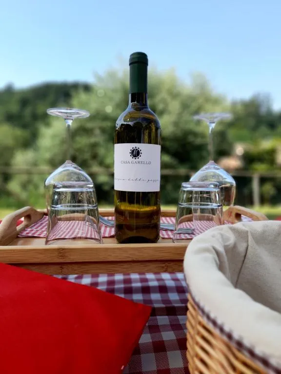 Picnic con degustazione vini a Salice Terme nell'Oltrepò Pavese