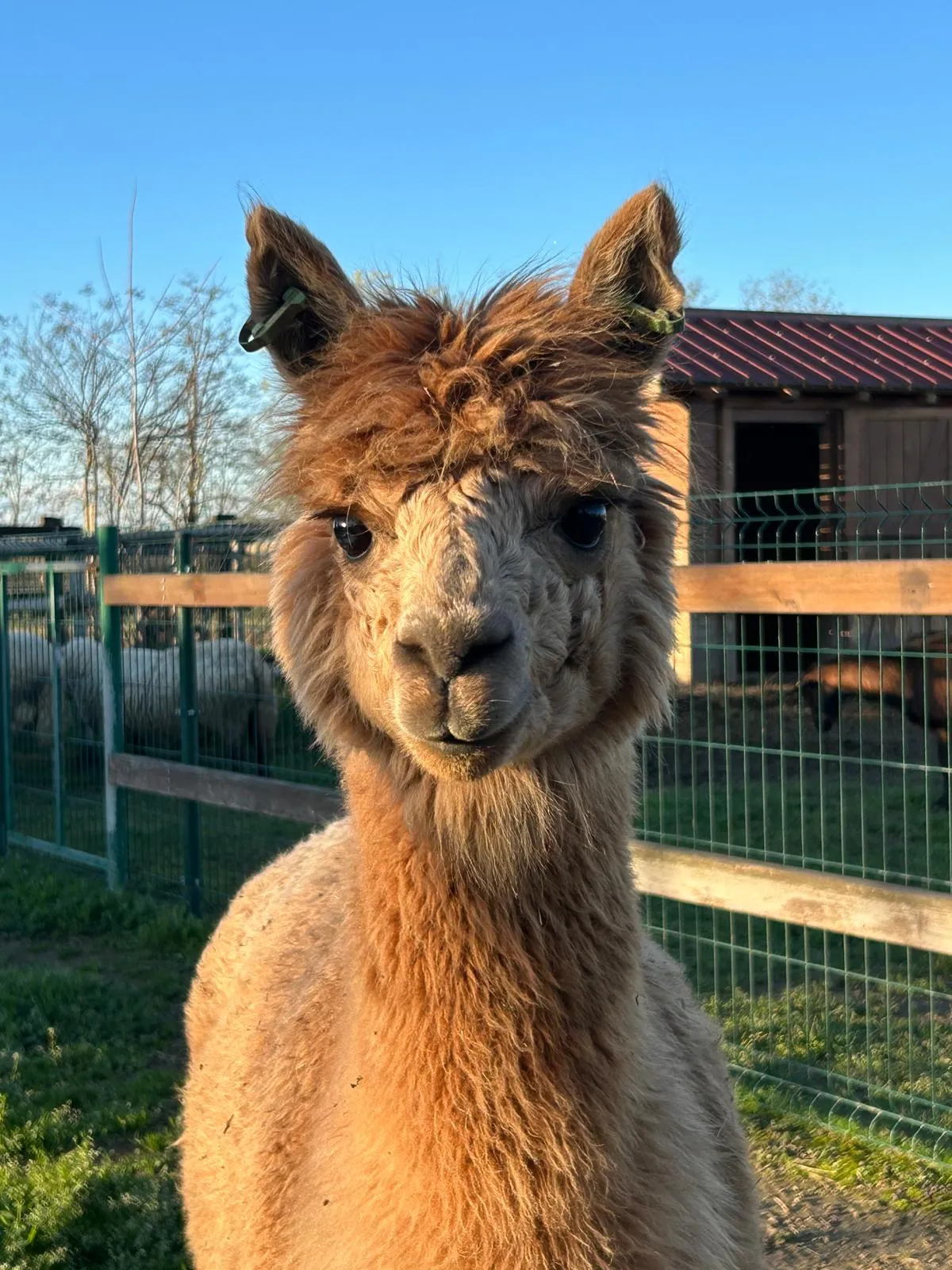 Pranzo in agriturismo in campagna nel Lodigiano a Graffignana