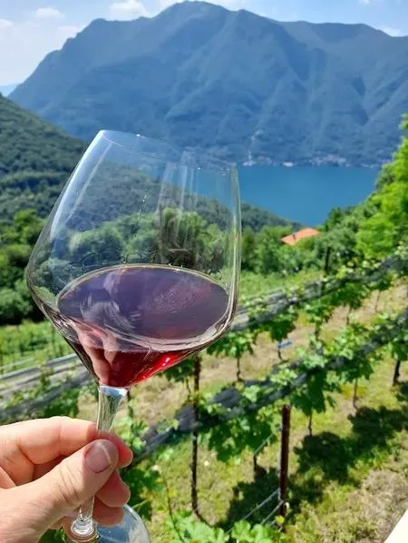 Degustazione di vino sopra Bellagio con vista sul Lago di Como