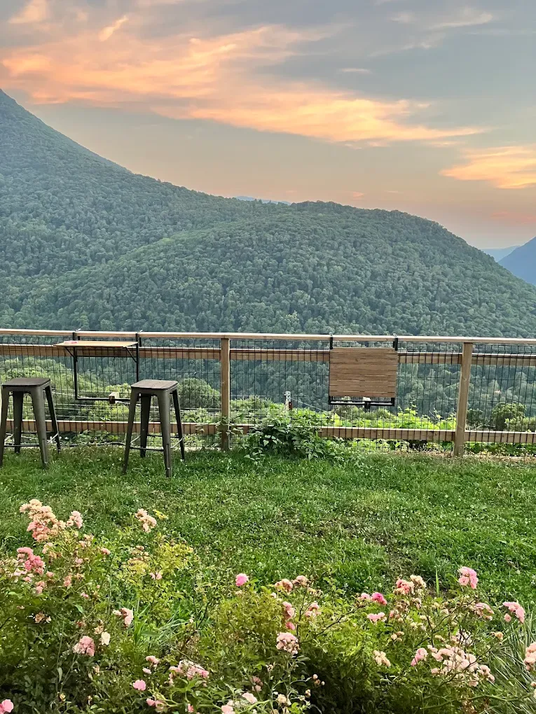 Degustazione di vino sopra Bellagio con vista sul Lago di Como