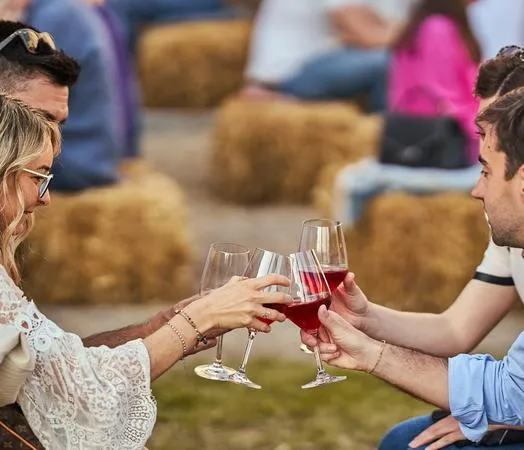 Degustazione vini nel Monferrato a Cella Monte