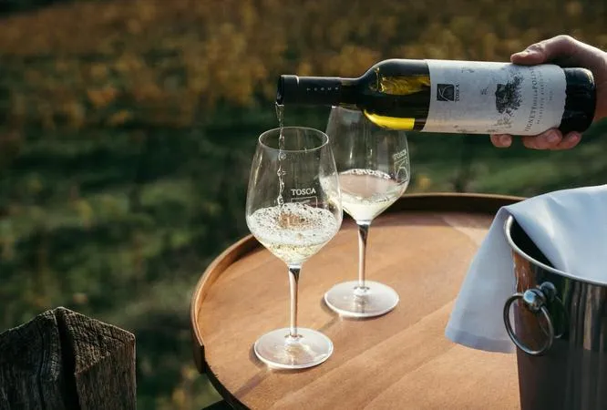 Degustazione di vini sui colli bergamaschi a Pontida