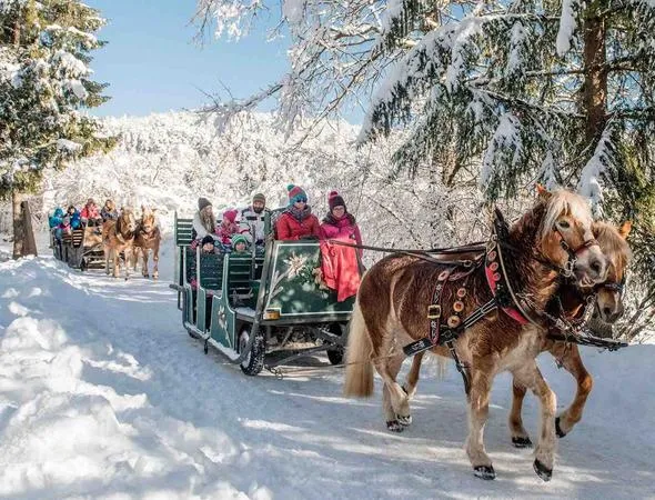 Giro in slitta trainata da cavalli ad Andalo