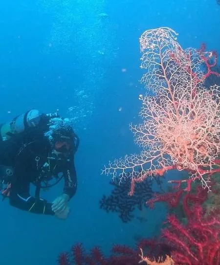 Uscita in gommone con snorkeling