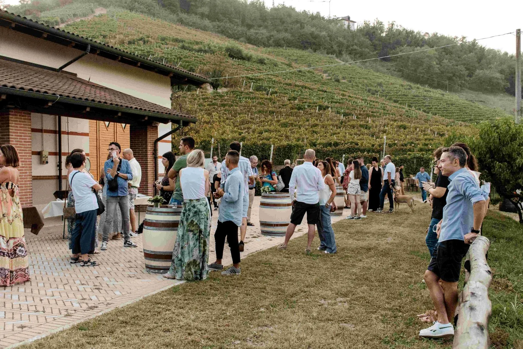 Pranzo in vigna nelle Langhe