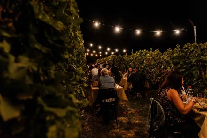 Cena in vigna nelle Langhe