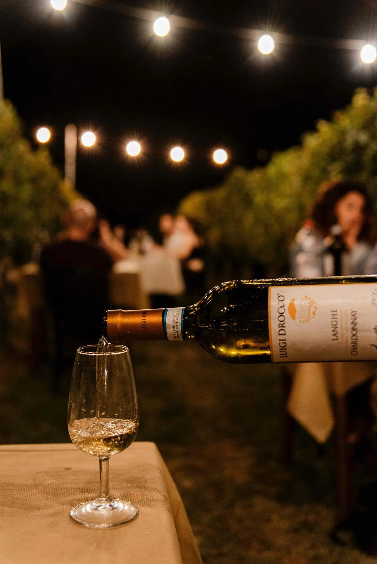 Cena in vigna nelle Langhe