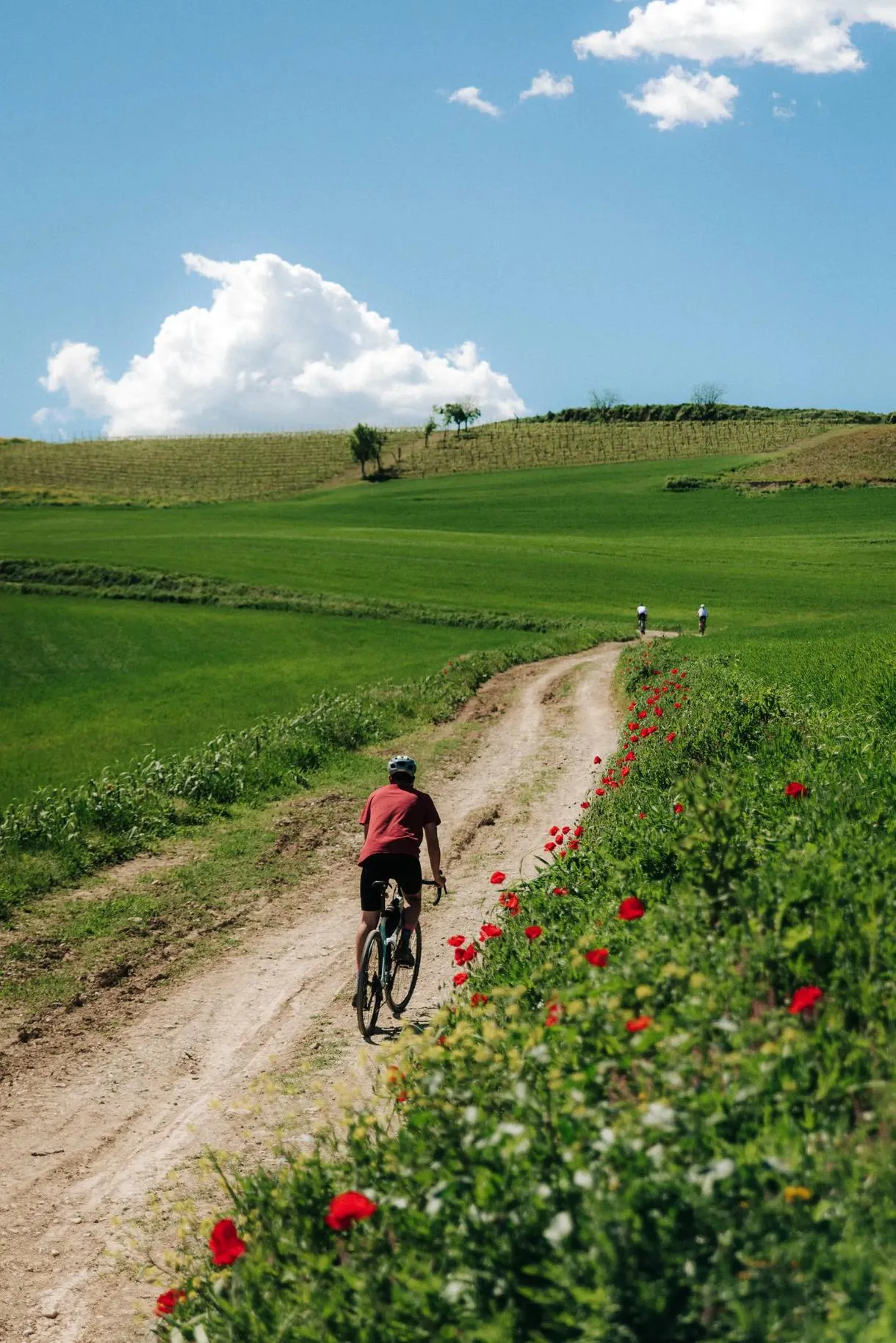 Escursione in E-bike nel Monferrato da Casale