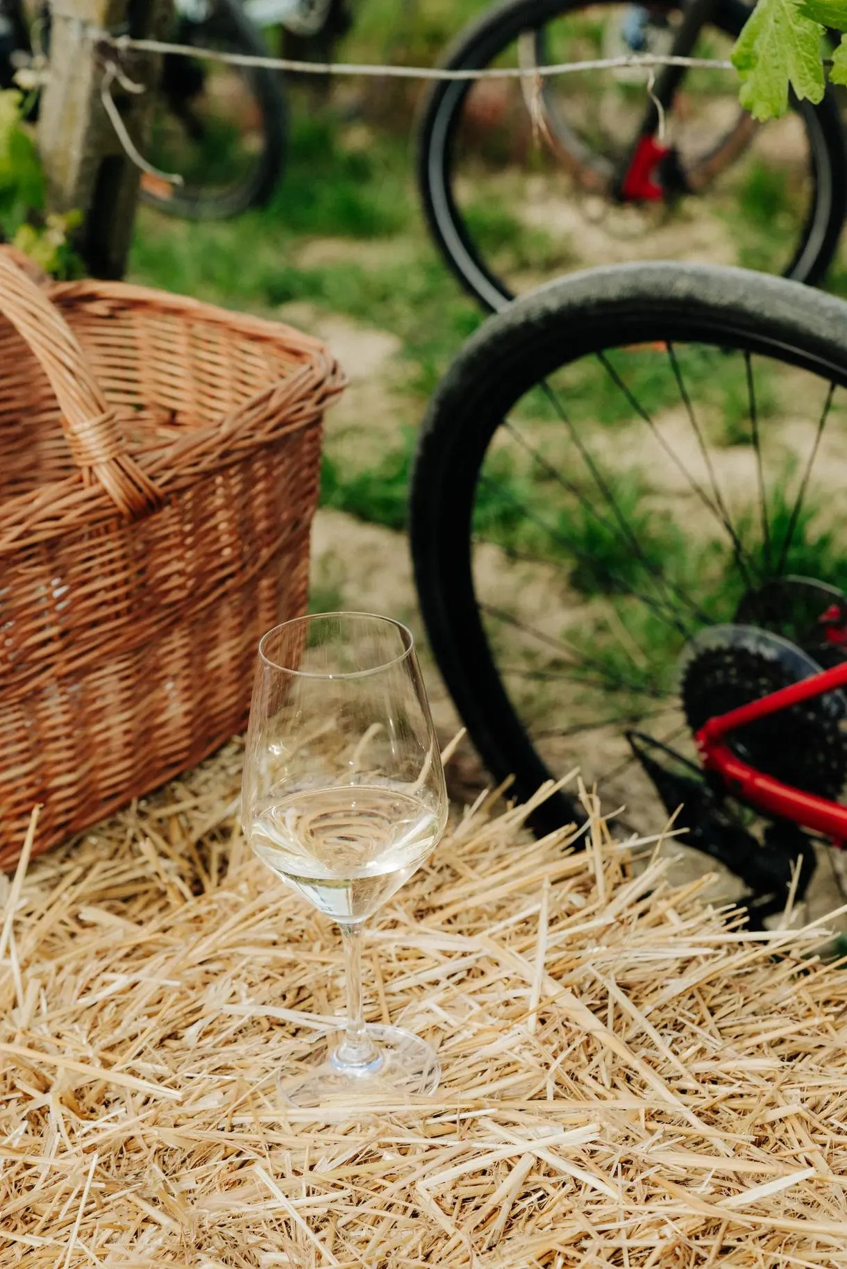 Escursione in E-bike nel Monferrato da Casale