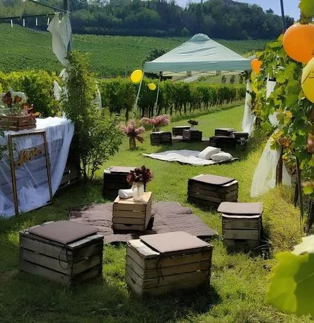 Picnic in vigna e visita in cantina a Mombaruzzo