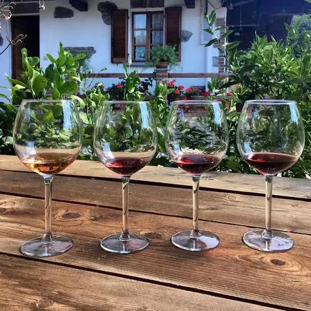 Visita e degustazione vini alla Cantina Fontechiara a Borgomanero