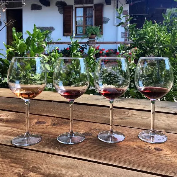 Visita e degustazione vini alla Cantina Fontechiara a Borgomanero