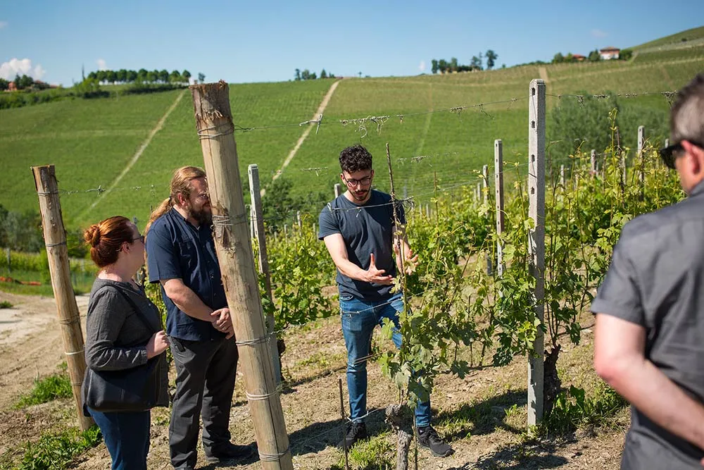 Degustazione vini nel cuore delle Langhe ad Alba
