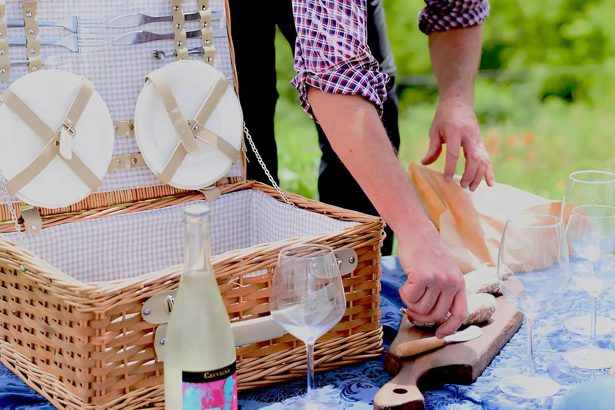 Passeggiata con Alpaca e picnic nelle Langhe