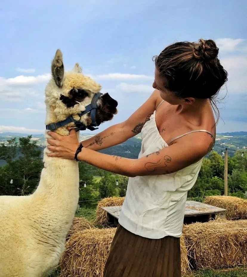 Passeggiata con Alpaca e picnic nelle Langhe
