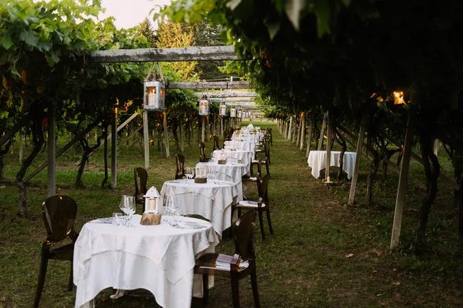 Cena in vigna a Viverone con visita alle cantine a Cella Grande