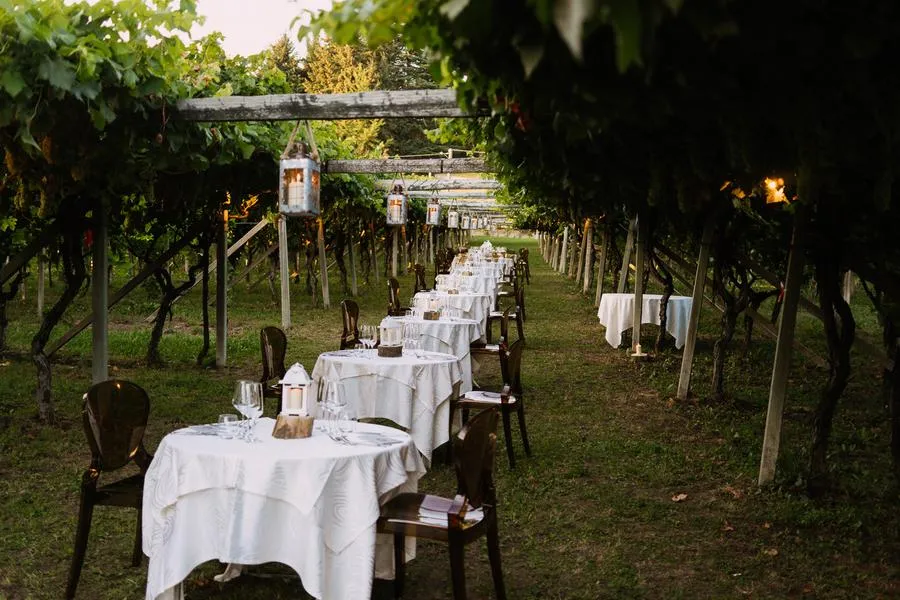 Cena in vigna a Viverone con visita alle cantine a Cella Grande