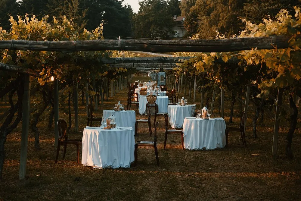 Cena in vigna a Viverone con visita alle cantine a Cella Grande