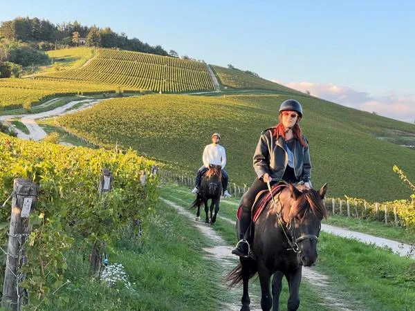 Passeggiata a cavallo nei vigneti fuori Verona