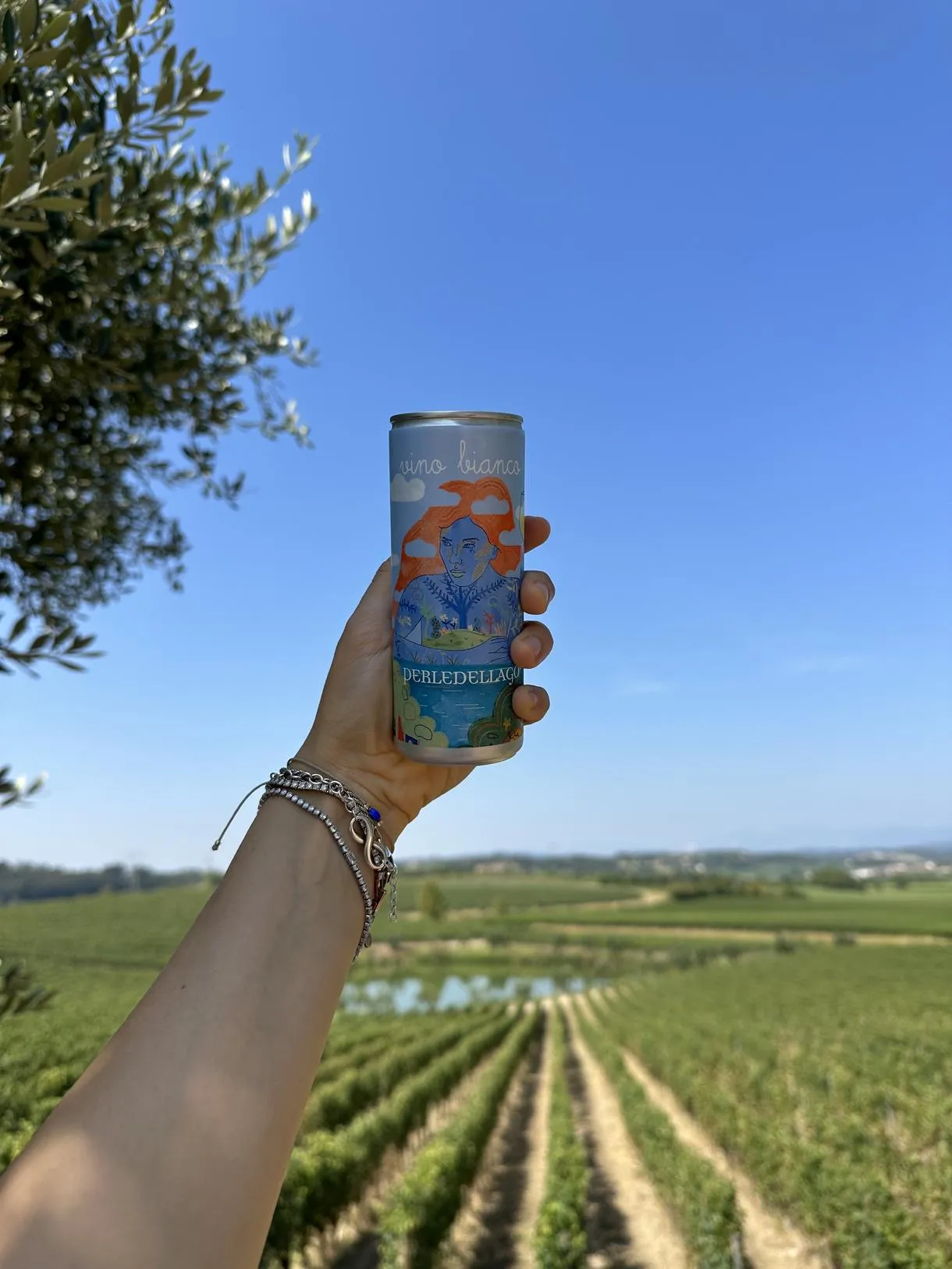 Picnic in vigna nel basso Garda a Lonato