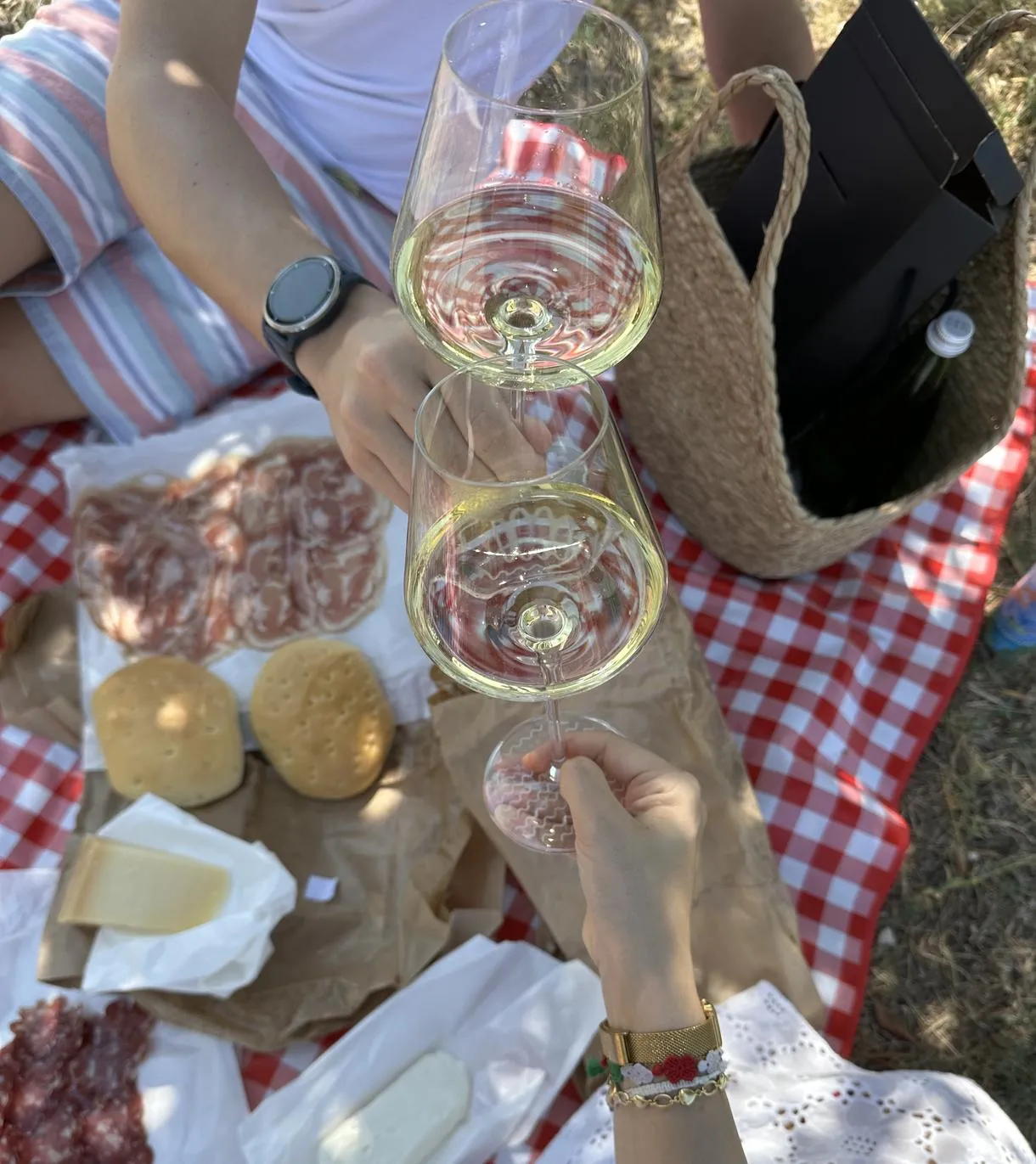 Picnic in vigna nel basso Garda a Lonato