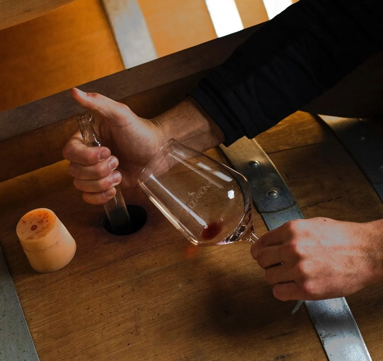 Degustazione vini con tagliere di prodotti locali all'Isola d'Elba