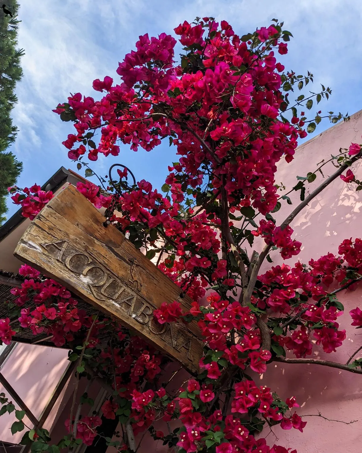 Degustazione vini con tagliere di prodotti locali all'Isola d'Elba