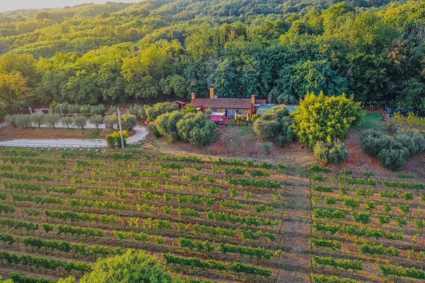 Pranzo in agriturismo fuori Treviso a Volpago del Montello