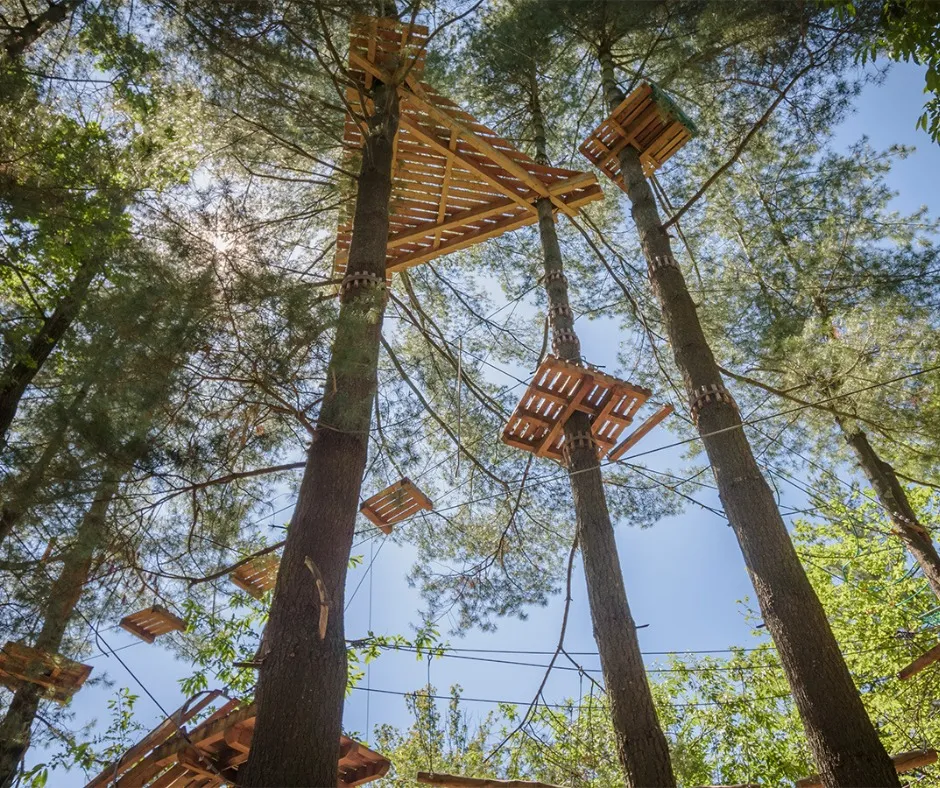 Accesso a tutti i percorsi del Parco Avventura Le Pigne sul Lago d'Orta