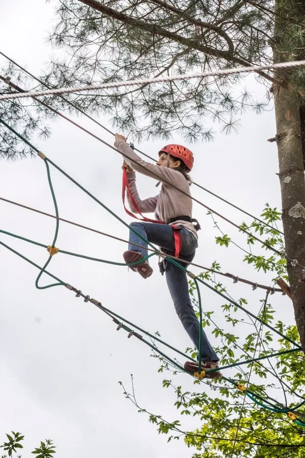Giornata al Parco Avventura Le Pigne sul Lago d'Orta con pranzo