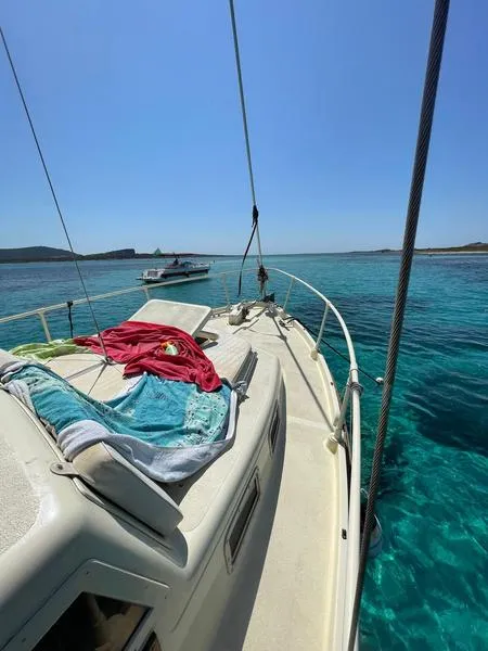 Escursione in barca a vela di gruppo da Stintino all'Asinara