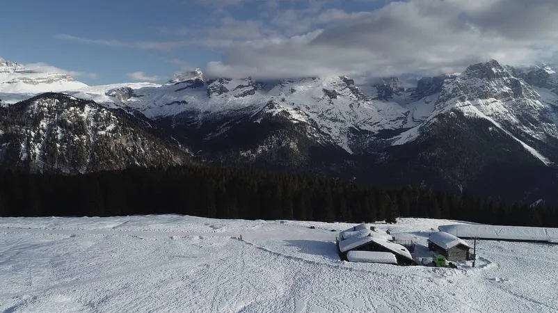 Ciaspolata nei boschi a Madonna di Campiglio