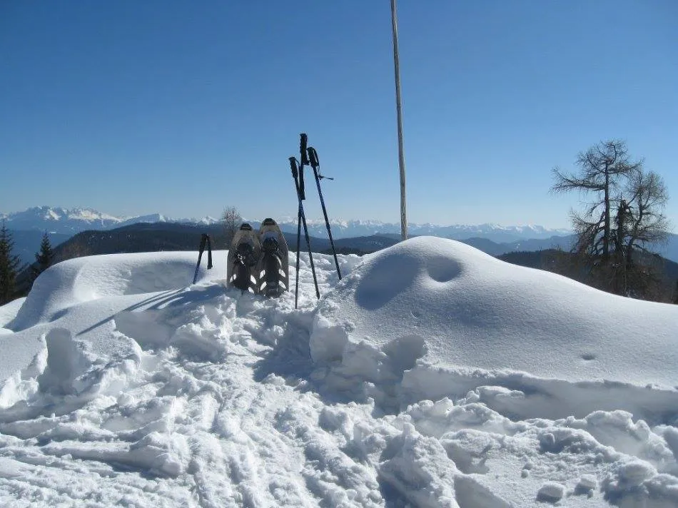 Ciaspolata nei boschi a Madonna di Campiglio