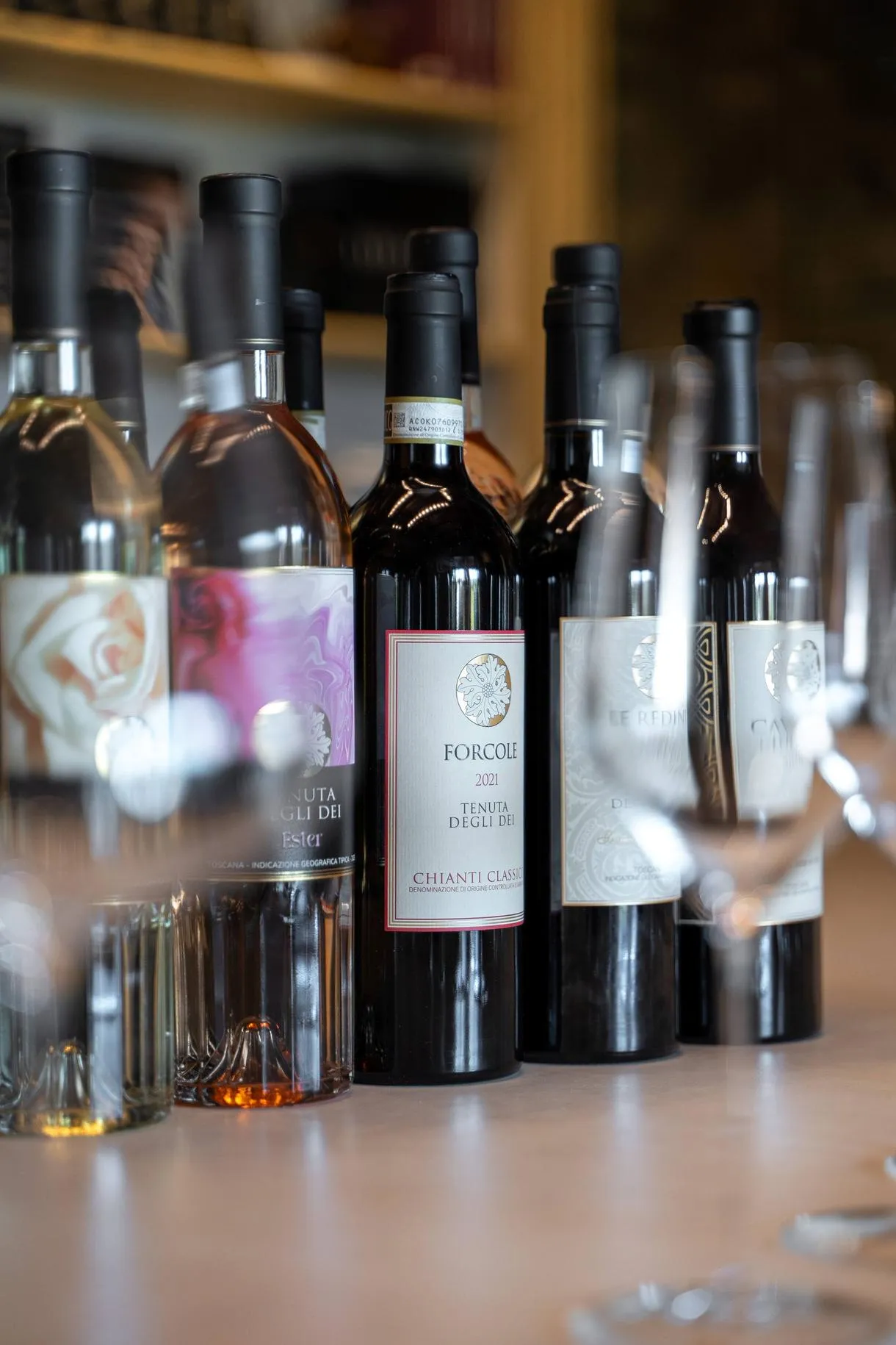 Degustazione vini e visita alla Tenuta degli Dei nel Chianti