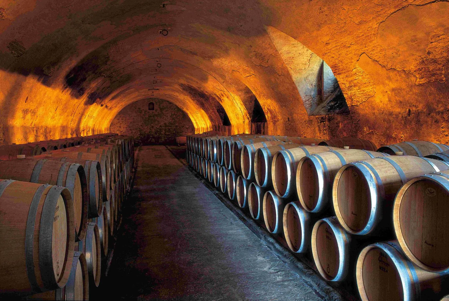 Degustazione vini e visita alla Tenuta degli Dei nel Chianti