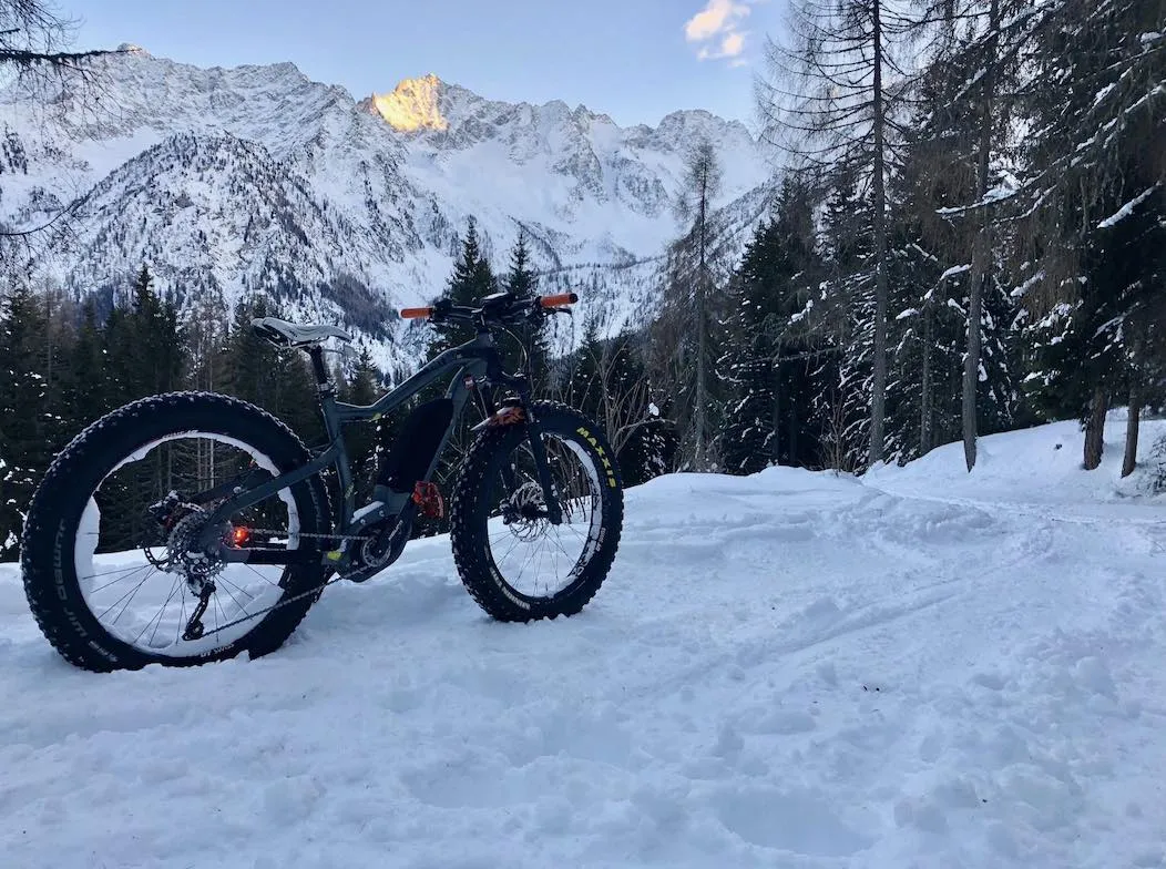 Fat bikes tour con aperitivo a Malga Valbiolo a Passo Tonale