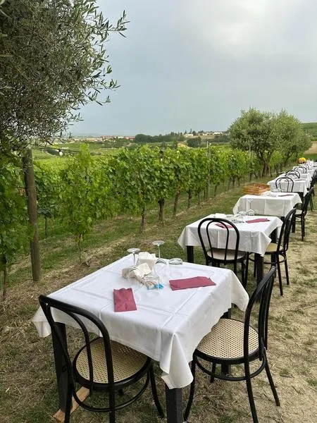 Pranzo in vigna nel Monferrato