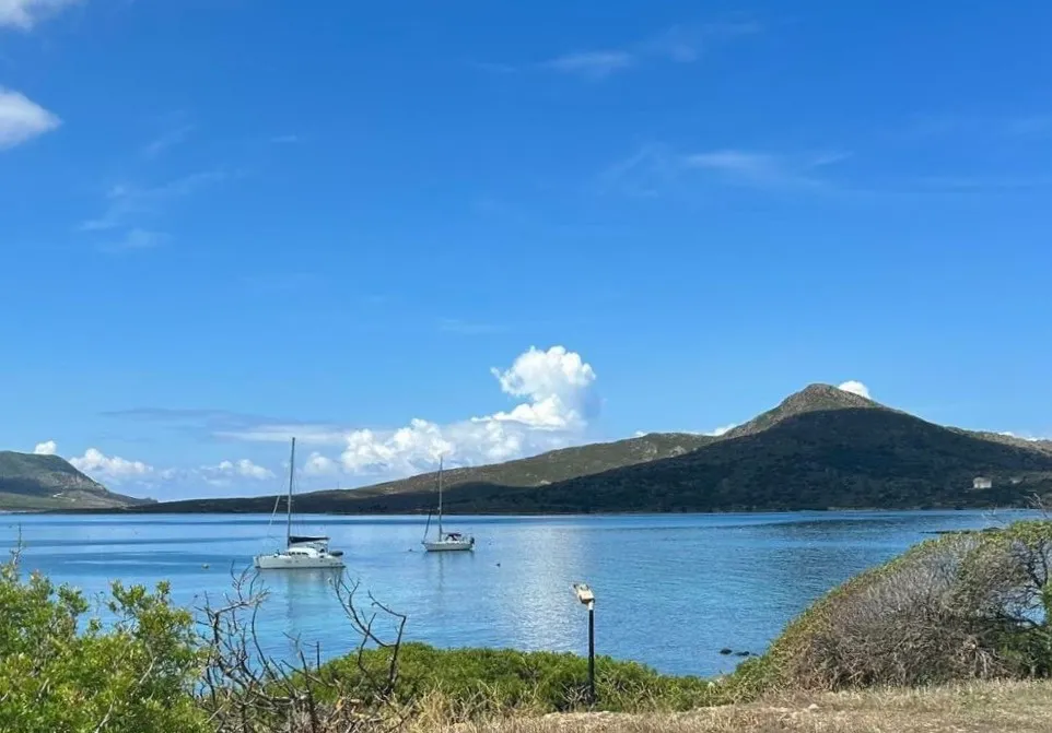 Escursione in barca di mezza giornata all'Asinara da Stintino