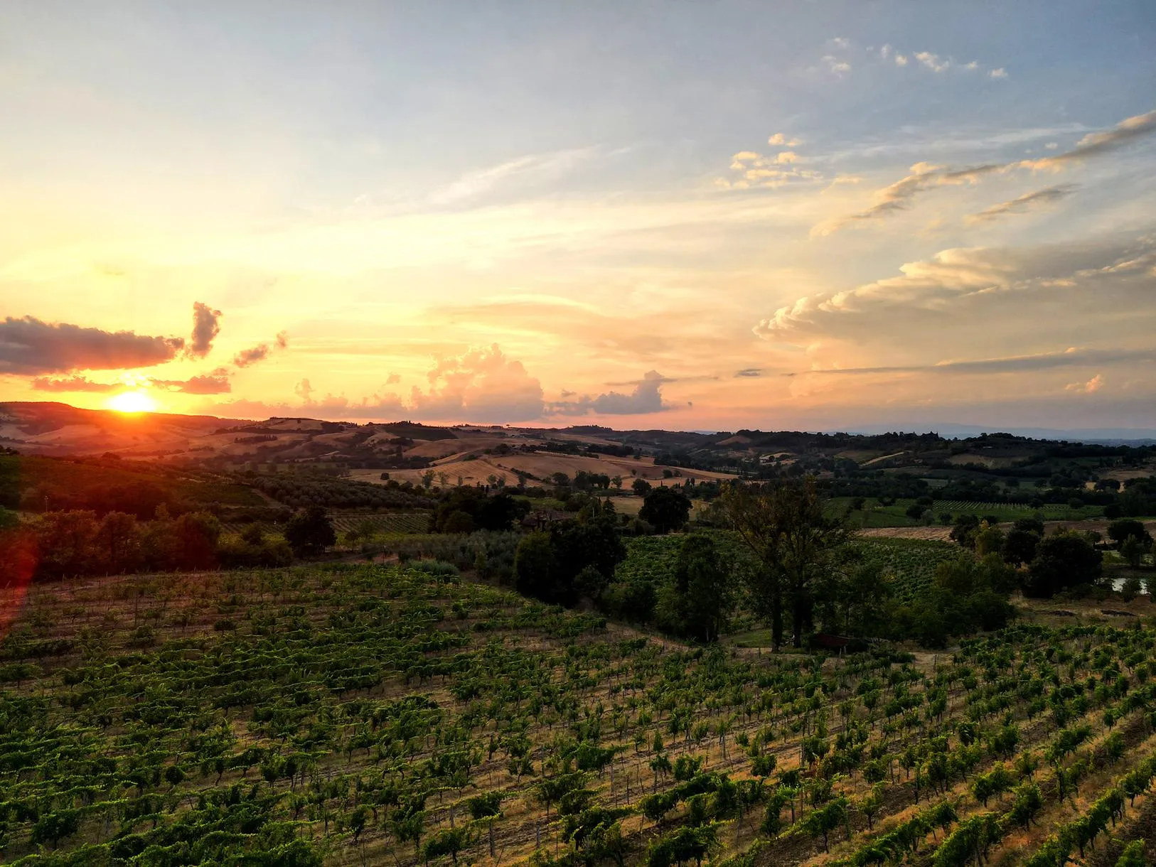 Picnic tra i vigneti con prodotti tipici a Montepulciano