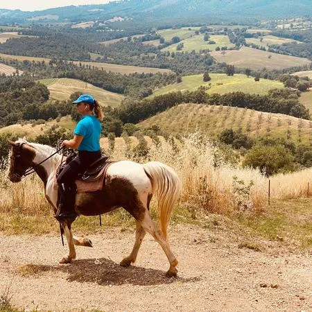 Passeggiata a cavallo e degustazione vini nella Maremma a Saturnia
