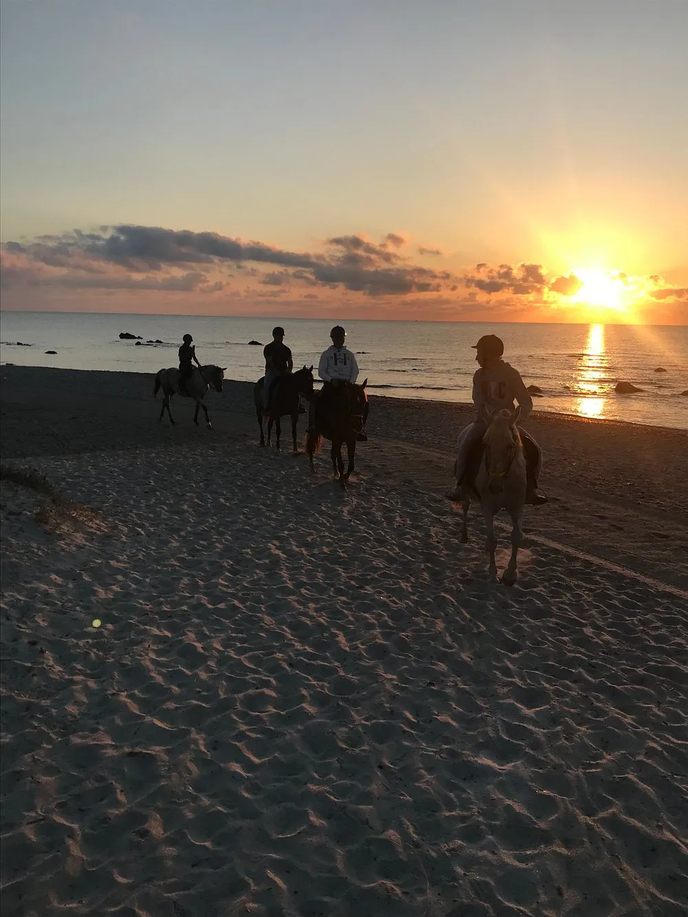 Passeggiata a cavallo all'alba in riva al mare a Budoni