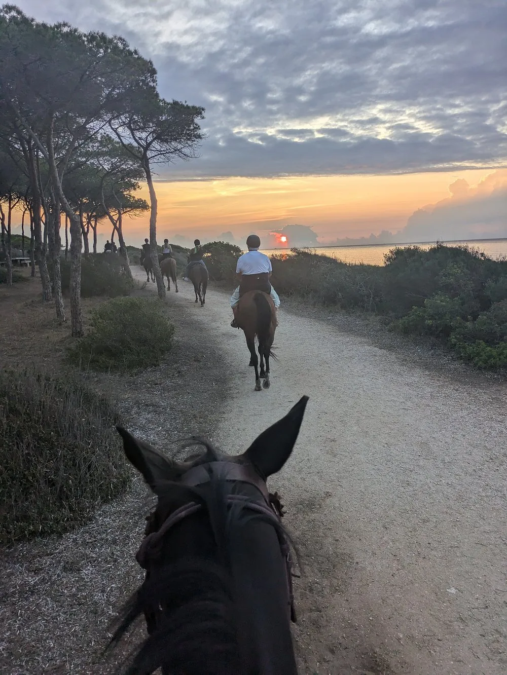 Passeggiata a cavallo all'alba in riva al mare a Budoni