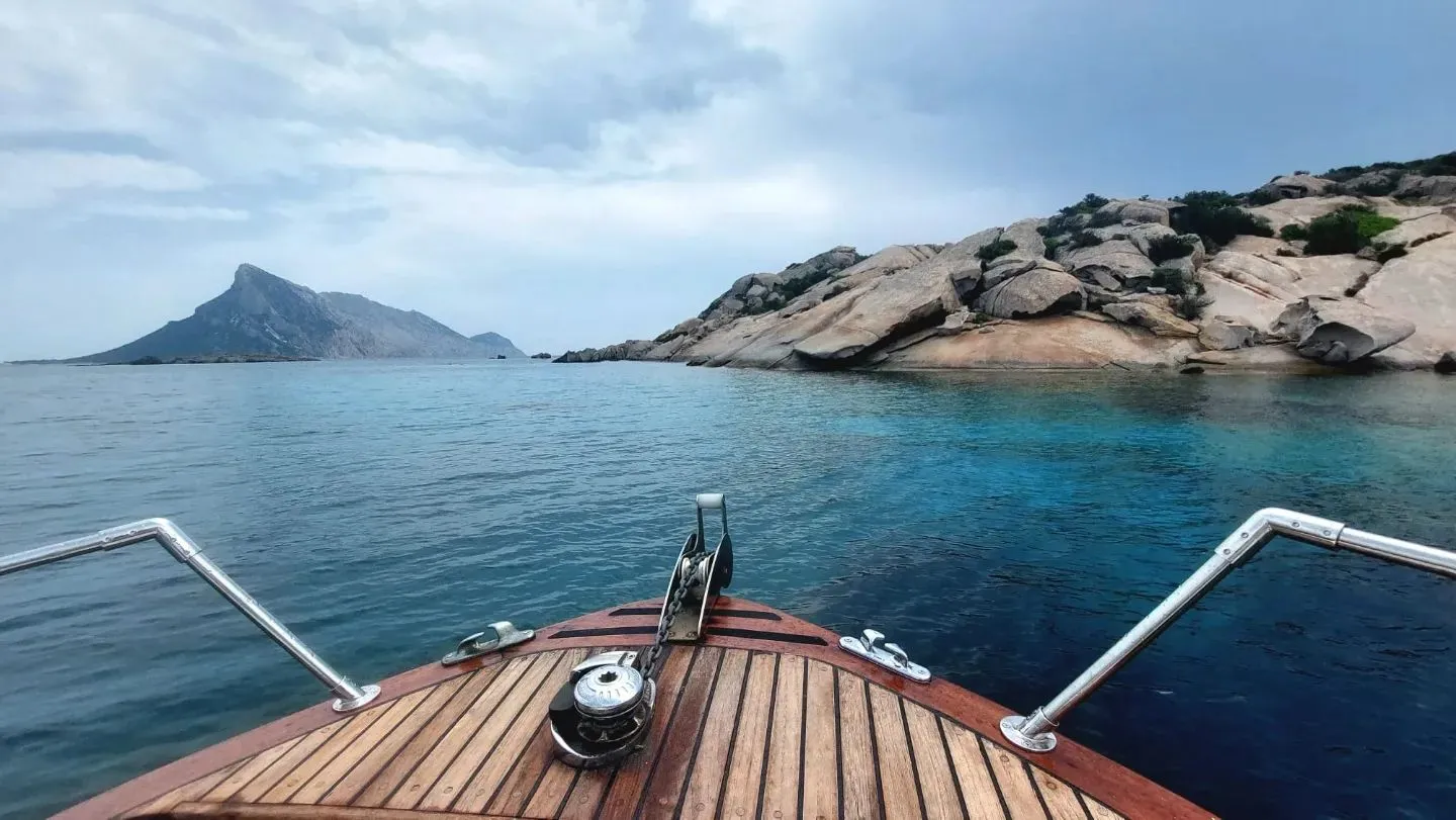 Escursione in barca di mezza giornata tra Tavolara e Punta Coda Cavallo da Porto San Paolo