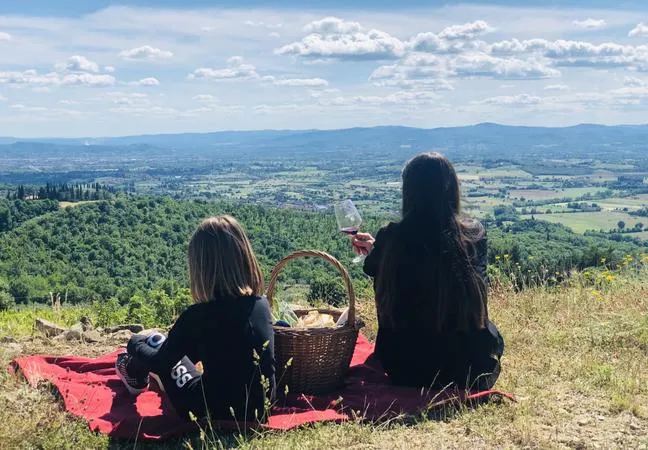 Picnic in vigna fuori Arezzo