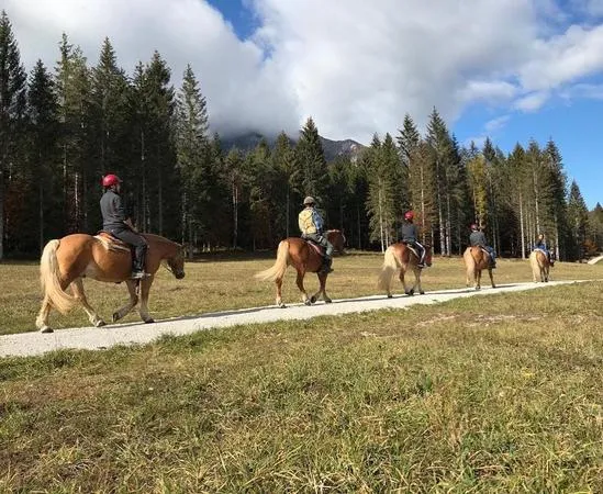 Passeggiata a cavallo ad Andalo nel Parco dell'Adamello