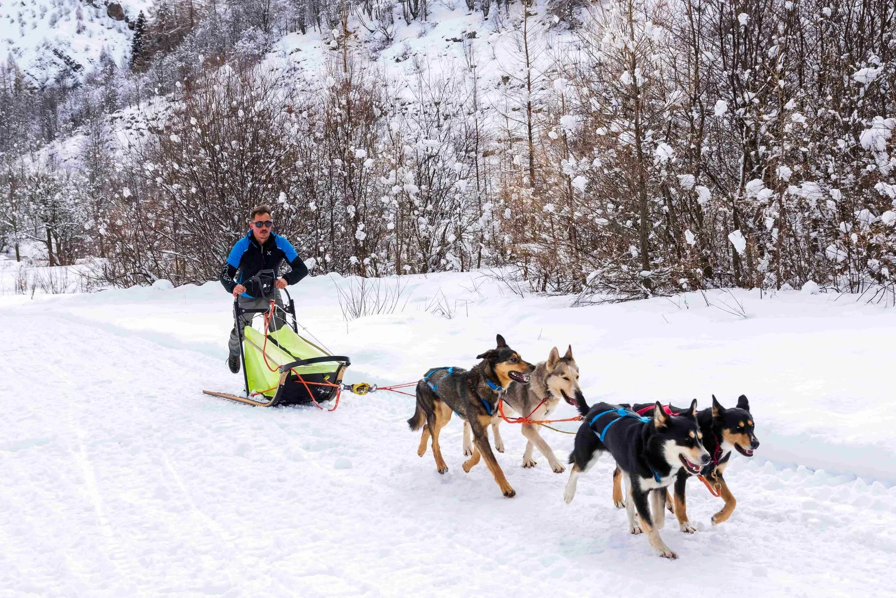 Sleddog a Castelmagno con i cani da slitta