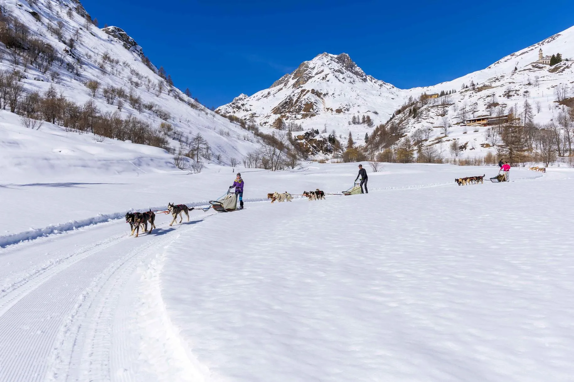 Sleddog a Castelmagno con i cani da slitta