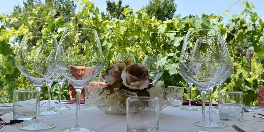 Pranzo tra i vigneti e degustazione vini a San Gimignano